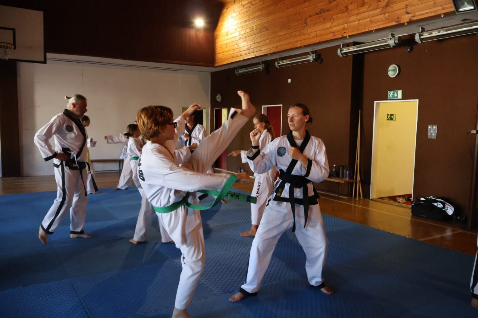 Taekwondo practitioner
